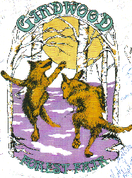 1993 Girdwood Forest Fair 18th Annual t-shirt design